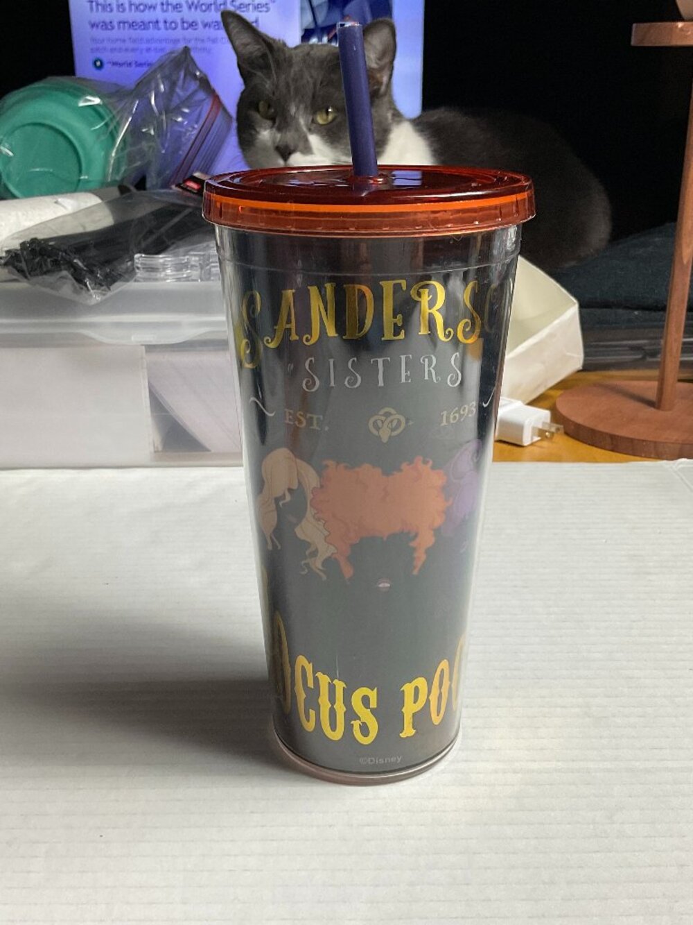 Disney Hocus Pocus Sanderson Sisters Tumbler
